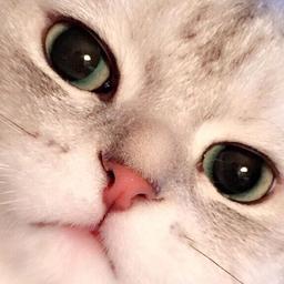 안냥