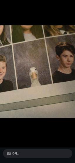 머니머니해도 머니