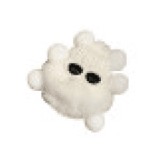 블루펄