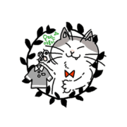 옷파는야옹이