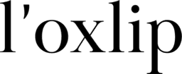 록슬립