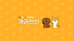 개과천선