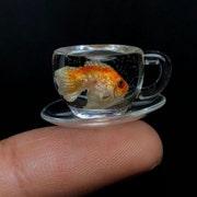 ANIMOMAL