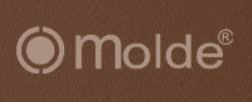 몰드