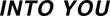 인투유