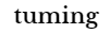 투밍 TUMING