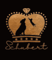슈베르트