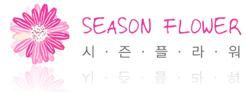 시즌플라워