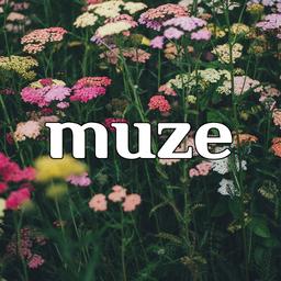 뮤즈 MUZE