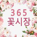 365꽃시장