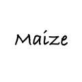 메이즈 MAIZE