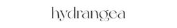 HYDRANGEA