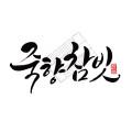 죽향참빗