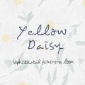 옐로우데이지