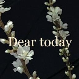 디어투데이