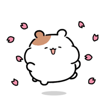 씨뮤직