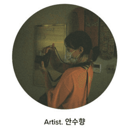 안수향