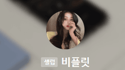 비플릿