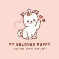 마이 비러브드 퍼피