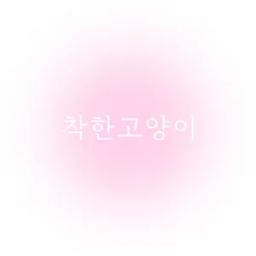 착한고양이