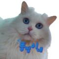 똥띵 팩토리