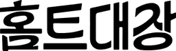 홈트대장