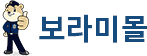 보라미몰