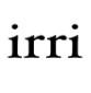 이리 IRRI