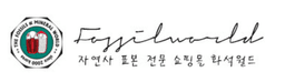 화석월드