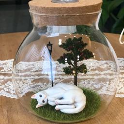 고양이 모모