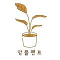 앙플랜트