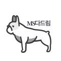 MS다드림