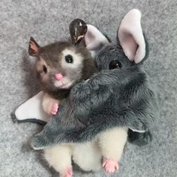 라따따공방