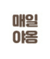매일야옹