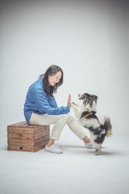 서핑독