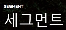 세그먼트