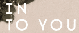 인투유 INTO YOU