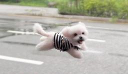 헤브인