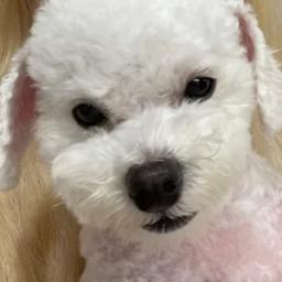 윤비주얼