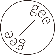 지지 GEEGEE