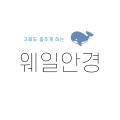 웨일안경