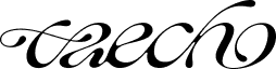 태초
