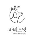 바비스영