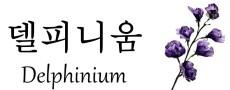 델피니움
