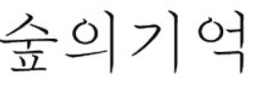 숲의기억