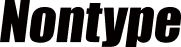 논타입