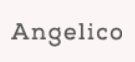 엔제리코