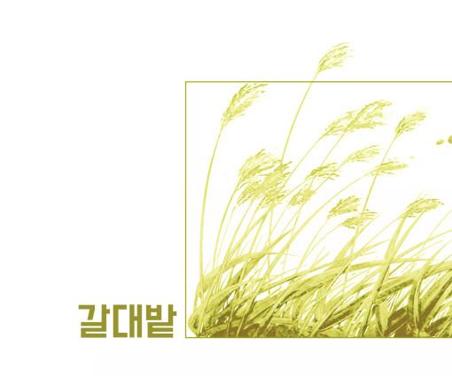 [소분컷] 갈대밭 PET 마스킹테이프