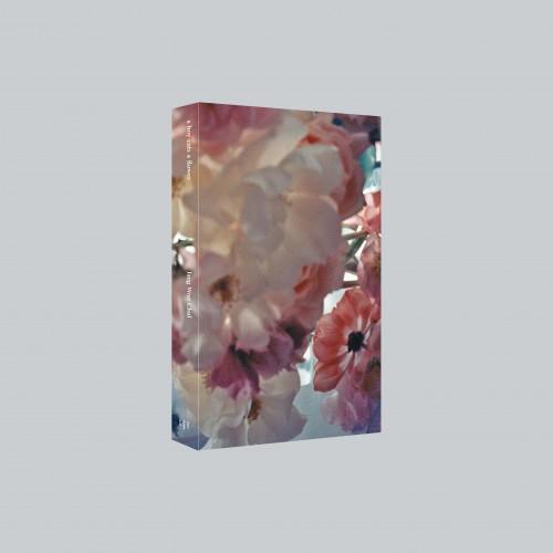 a boy cuts a flower ; 소년전홍