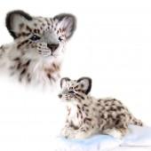 4954 설표범 동물인형/34cm.L